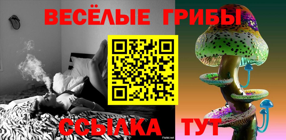 Псилоцибиновые грибы мухоморы Новоуральск
